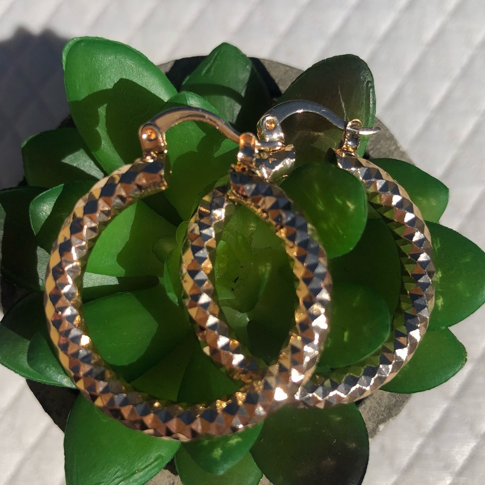 Beautiful gold colored round hoop gold colored earrings ✨